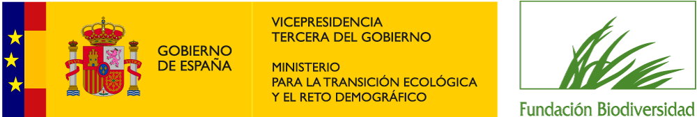 VICE3+MITECO+FB_Bandera