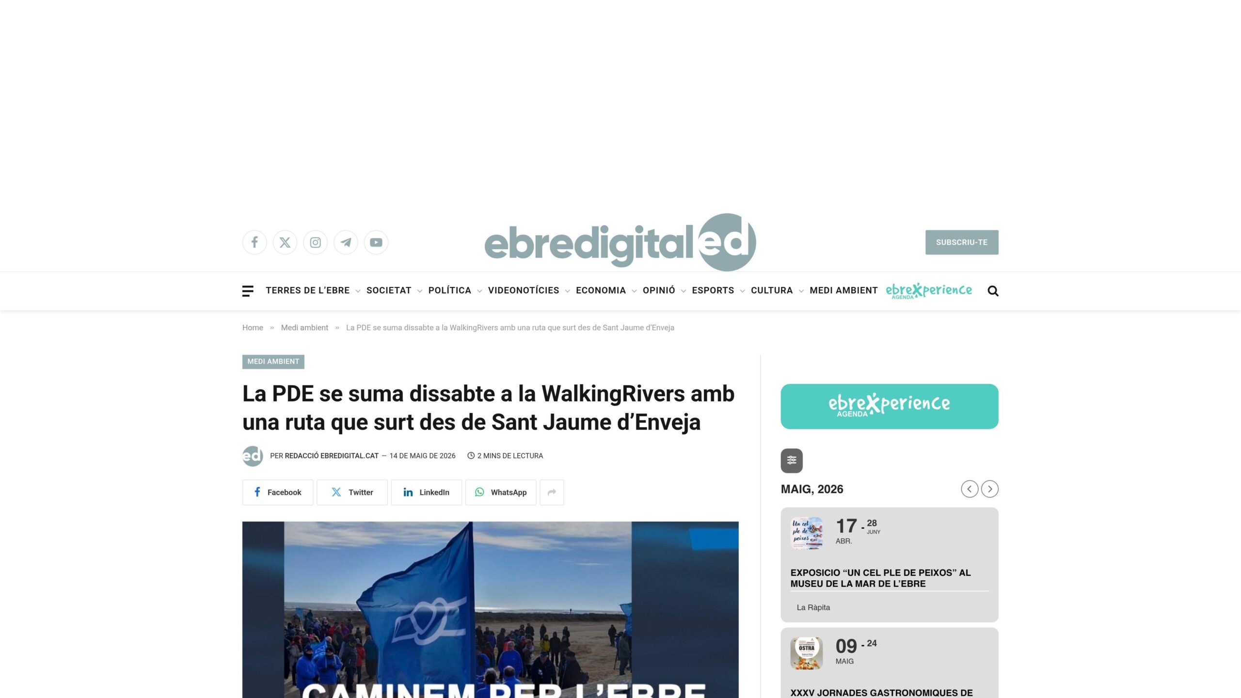 ebredigital-cat(1)