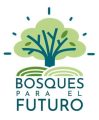 Bosques para el Futuro