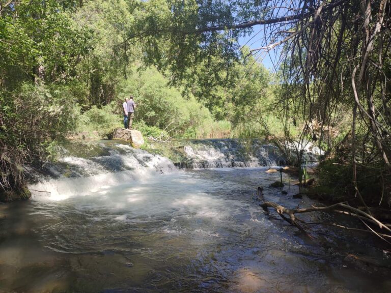 01-LosHoyos-weir-pichi