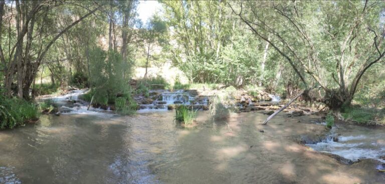 02-Cuadrado weir_defrente-pichi