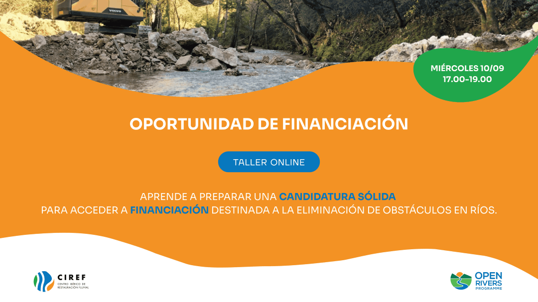 Taller onlife. Financiación para la eliminacion de obstaculos