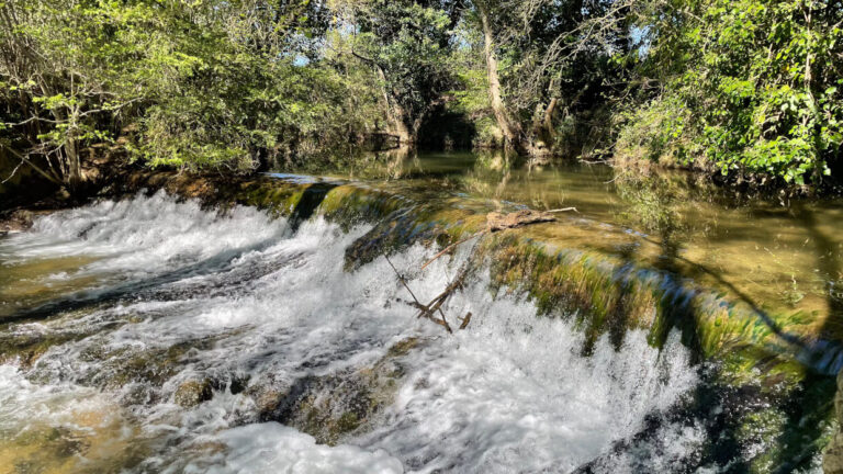 Ibarrondo (4)