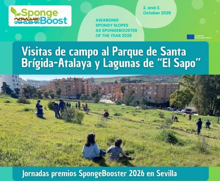 Jornadas de SpongeBooster of the Year Awards
