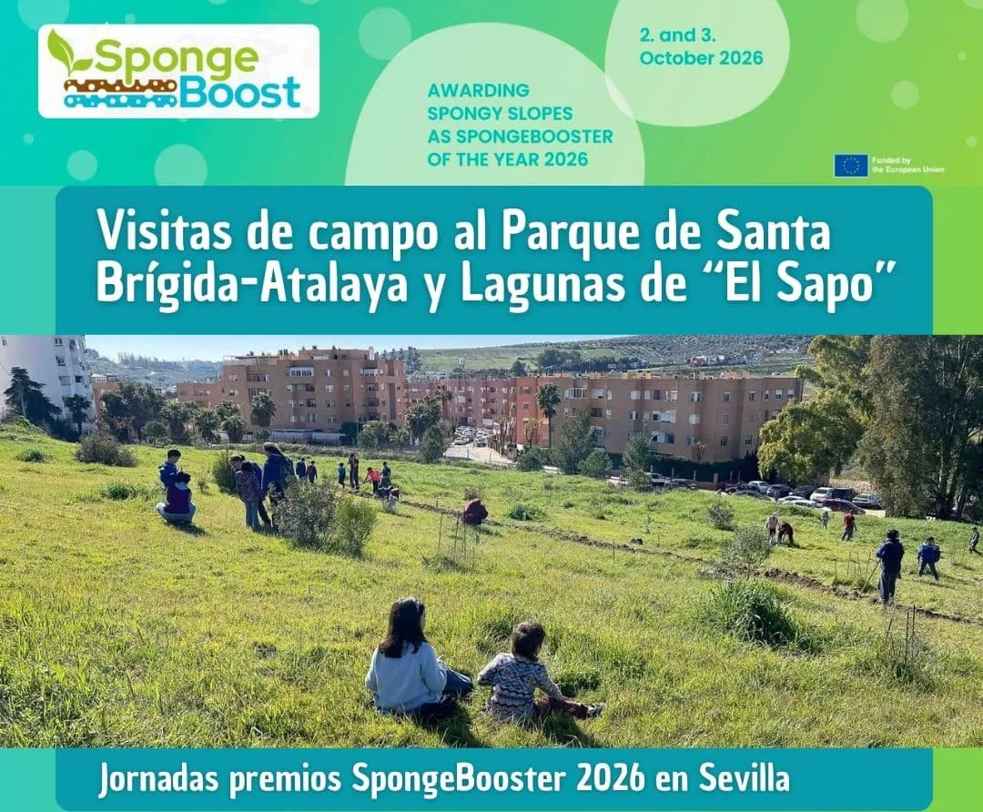 Evento_SponegBooster of the Year