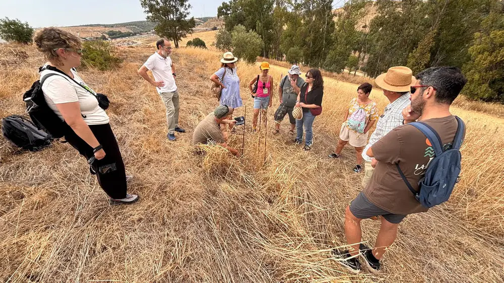 SpongeBoost reconoce una iniciativa de restauración del paisaje en Sevilla